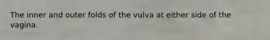 The inner and outer folds of the vulva at either side of the vagina.