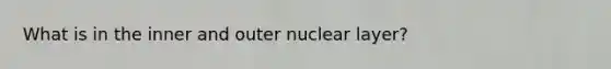 What is in the inner and outer nuclear layer?