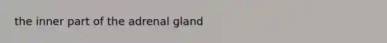 the inner part of the adrenal gland