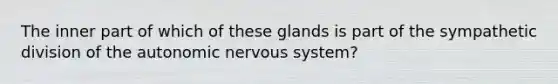 The inner part of which of these glands is part of the sympathetic division of the autonomic nervous system?