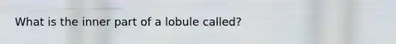 What is the inner part of a lobule called?