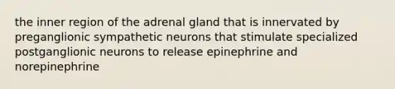 the inner region of the adrenal gland that is innervated by preganglionic sympathetic neurons that stimulate specialized postganglionic neurons to release epinephrine and norepinephrine