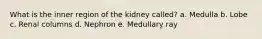 What is the inner region of the kidney called? a. Medulla b. Lobe c. Renal columns d. Nephron e. Medullary ray