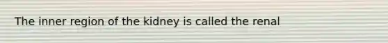 The inner region of the kidney is called the renal