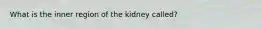 What is the inner region of the kidney called?