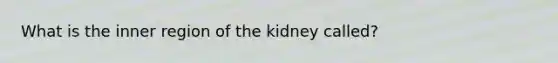 What is the inner region of the kidney called?