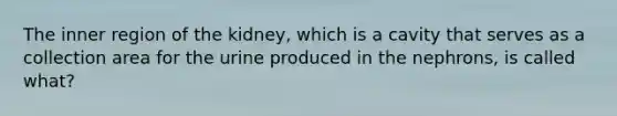 The inner region of the kidney, which is a cavity that serves as a collection area for the urine produced in the nephrons, is called what?