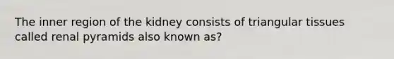 The inner region of the kidney consists of triangular tissues called renal pyramids also known as?