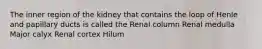 The inner region of the kidney that contains the loop of Henle and papillary ducts is called the Renal column Renal medulla Major calyx Renal cortex Hilum