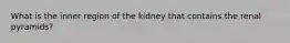 What is the inner region of the kidney that contains the renal pyramids?