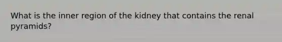 What is the inner region of the kidney that contains the renal pyramids?