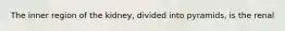 The inner region of the kidney, divided into pyramids, is the renal