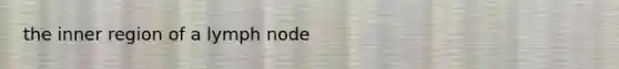 the inner region of a lymph node