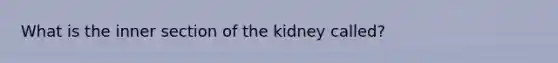 What is the inner section of the kidney called?