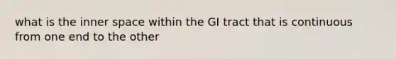 what is the inner space within the GI tract that is continuous from one end to the other