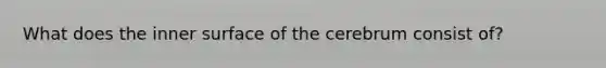 What does the inner surface of the cerebrum consist of?