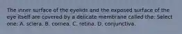 The inner surface of the eyelids and the exposed surface of the eye itself are covered by a delicate membrane called the: Select one: A. sclera. B. cornea. C. retina. D. conjunctiva.