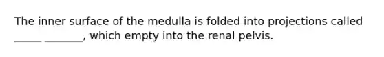 The inner surface of the medulla is folded into projections called _____ _______, which empty into the renal pelvis.