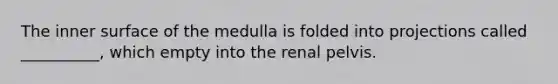 The inner surface of the medulla is folded into projections called __________, which empty into the renal pelvis.