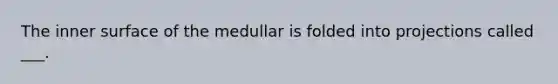 The inner surface of the medullar is folded into projections called ___.