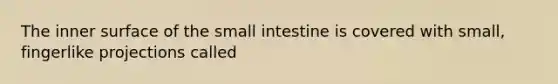 The inner surface of the small intestine is covered with small, fingerlike projections called