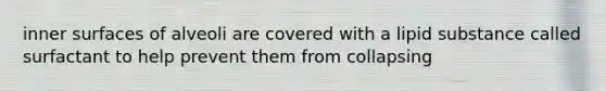 inner surfaces of alveoli are covered with a lipid substance called surfactant to help prevent them from collapsing