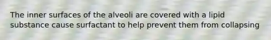 The inner surfaces of the alveoli are covered with a lipid substance cause surfactant to help prevent them from collapsing