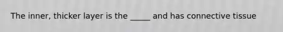The inner, thicker layer is the _____ and has connective tissue