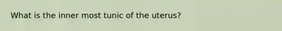 What is the inner most tunic of the uterus?