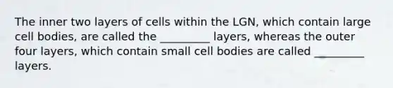 The inner two layers of cells within the LGN, which contain large cell bodies, are called the _________ layers, whereas the outer four layers, which contain small cell bodies are called _________ layers.