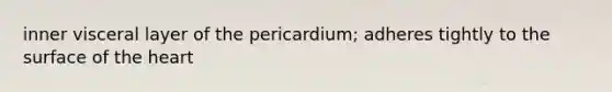 inner visceral layer of the pericardium; adheres tightly to the surface of the heart