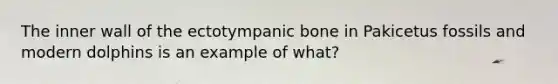 The inner wall of the ectotympanic bone in Pakicetus fossils and modern dolphins is an example of what?