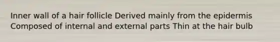 Inner wall of a hair follicle Derived mainly from the epidermis Composed of internal and external parts Thin at the hair bulb