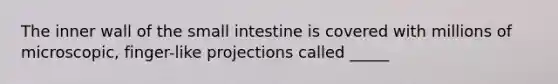 The inner wall of the small intestine is covered with millions of microscopic, finger-like projections called _____