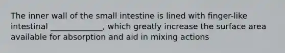 The inner wall of the small intestine is lined with finger-like intestinal _____________, which greatly increase the surface area available for absorption and aid in mixing actions