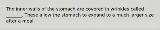 The inner walls of <a href='https://www.questionai.com/knowledge/kLccSGjkt8-the-stomach' class='anchor-knowledge'>the stomach</a> are covered in wrinkles called _______. These allow the stomach to expand to a much larger size after a meal.