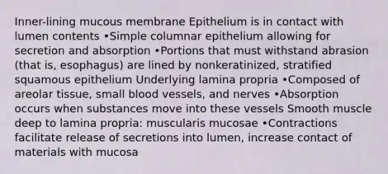 Inner-lining mucous membrane Epithelium is in contact with lumen contents •Simple columnar epithelium allowing for secretion and absorption •Portions that must withstand abrasion (that is, esophagus) are lined by nonkeratinized, stratified squamous epithelium Underlying lamina propria •Composed of areolar tissue, small blood vessels, and nerves •Absorption occurs when substances move into these vessels Smooth muscle deep to lamina propria: muscularis mucosae •Contractions facilitate release of secretions into lumen, increase contact of materials with mucosa