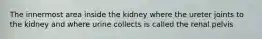 The innermost area inside the kidney where the ureter joints to the kidney and where urine collects is called the renal pelvis