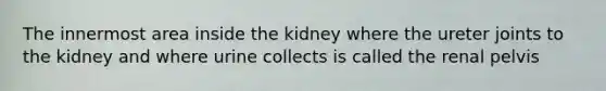 The innermost area inside the kidney where the ureter joints to the kidney and where urine collects is called the renal pelvis