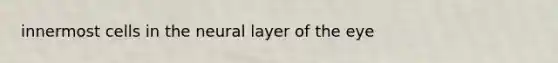 innermost cells in the neural layer of the eye