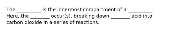 The __________ is the innermost compartment of a __________. Here, the ________ occur(s), breaking down ________ acid into carbon dioxide in a series of reactions.