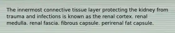 The innermost connective tissue layer protecting the kidney from trauma and infections is known as the renal cortex. renal medulla. renal fascia. fibrous capsule. perirenal fat capsule.