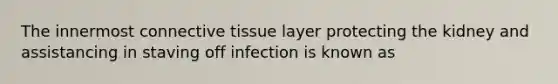 The innermost connective tissue layer protecting the kidney and assistancing in staving off infection is known as