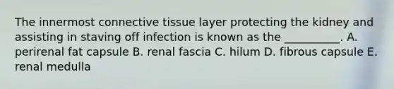 The innermost connective tissue layer protecting the kidney and assisting in staving off infection is known as the __________. A. perirenal fat capsule B. renal fascia C. hilum D. fibrous capsule E. renal medulla