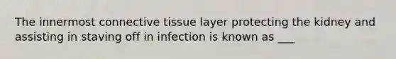 The innermost connective tissue layer protecting the kidney and assisting in staving off in infection is known as ___