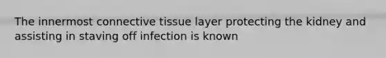 The innermost connective tissue layer protecting the kidney and assisting in staving off infection is known