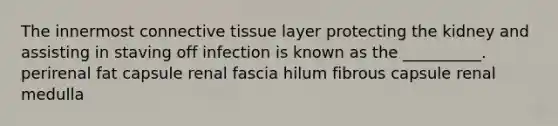 The innermost connective tissue layer protecting the kidney and assisting in staving off infection is known as the __________. perirenal fat capsule renal fascia hilum fibrous capsule renal medulla