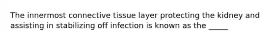 The innermost <a href='https://www.questionai.com/knowledge/kYDr0DHyc8-connective-tissue' class='anchor-knowledge'>connective tissue</a> layer protecting the kidney and assisting in stabilizing off infection is known as the _____