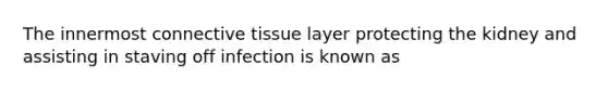 The innermost <a href='https://www.questionai.com/knowledge/kYDr0DHyc8-connective-tissue' class='anchor-knowledge'>connective tissue</a> layer protecting the kidney and assisting in staving off infection is known as