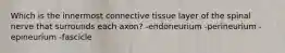 Which is the innermost connective tissue layer of the spinal nerve that surrounds each axon? -endoneurium -perineurium -epineurium -fascicle